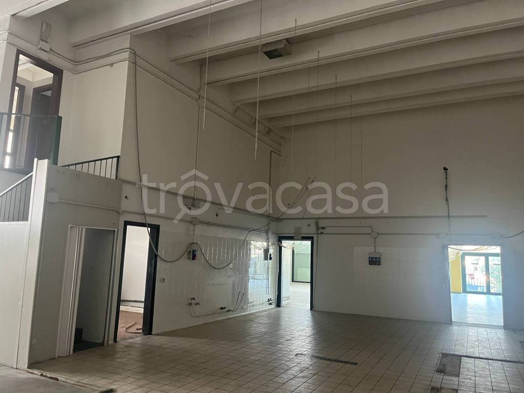 immagine annuncio 4 di 12