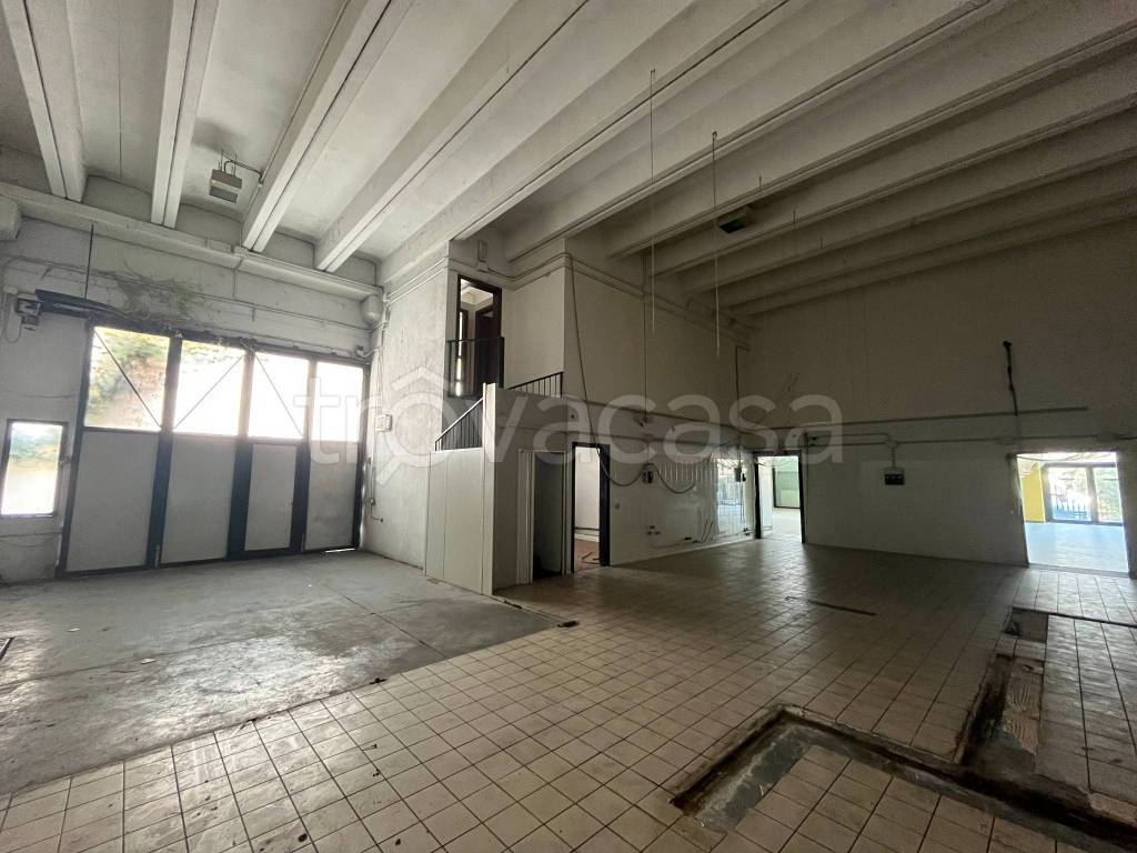 immagine annuncio 5 di 12