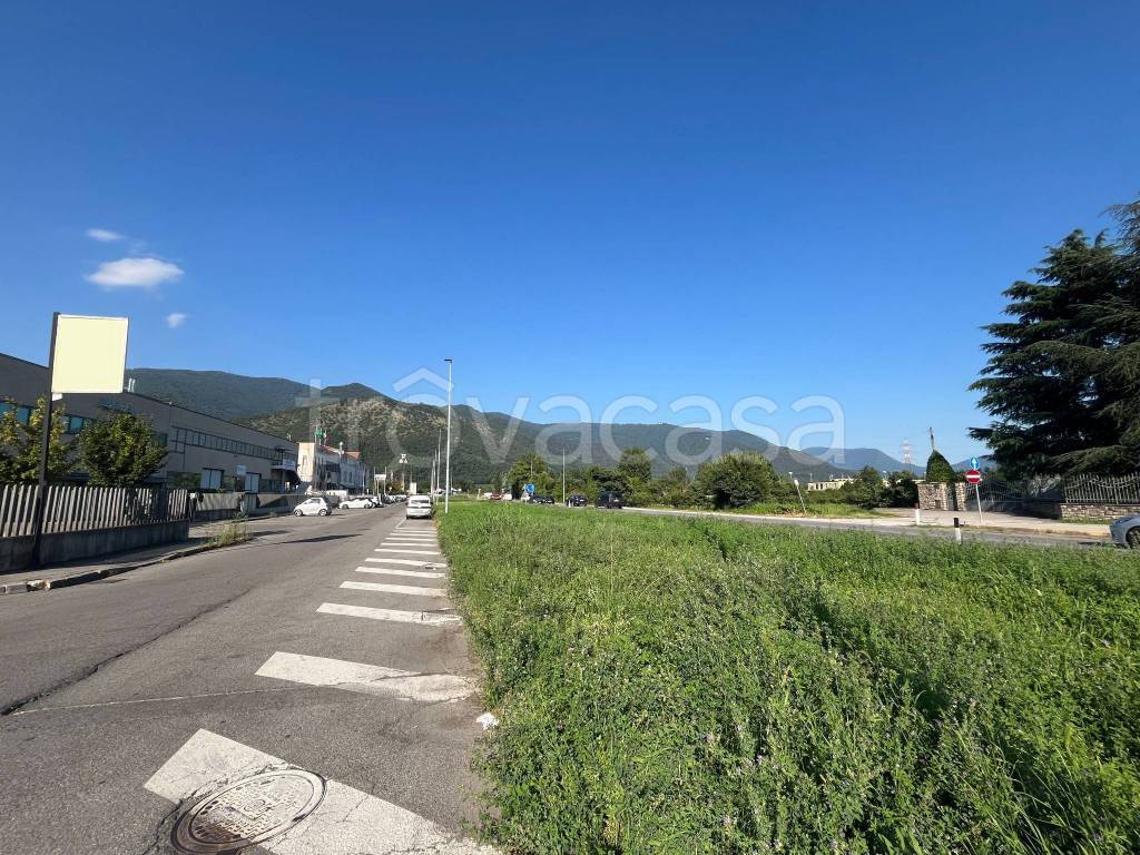 immagine annuncio 11 di 12