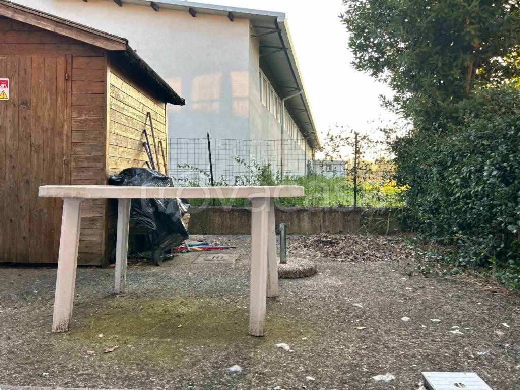 immagine annuncio 11 di 12