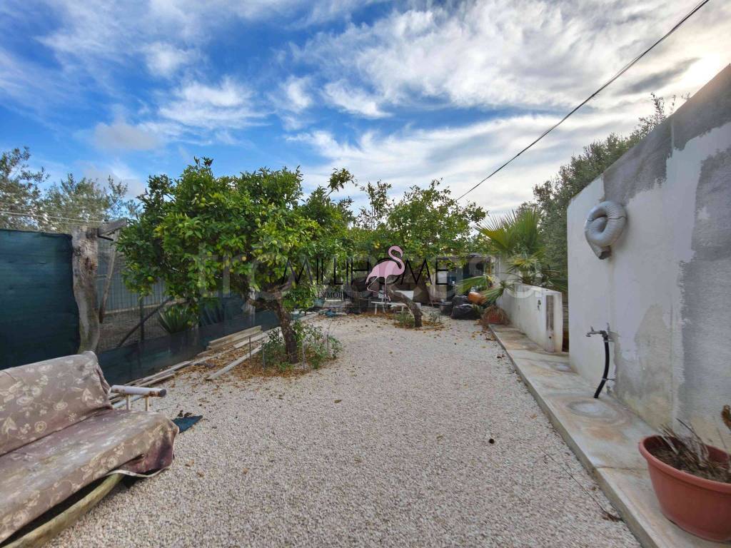 immagine annuncio 9 di 11