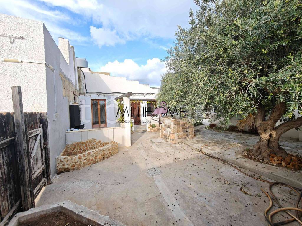 immagine annuncio 1 di 11