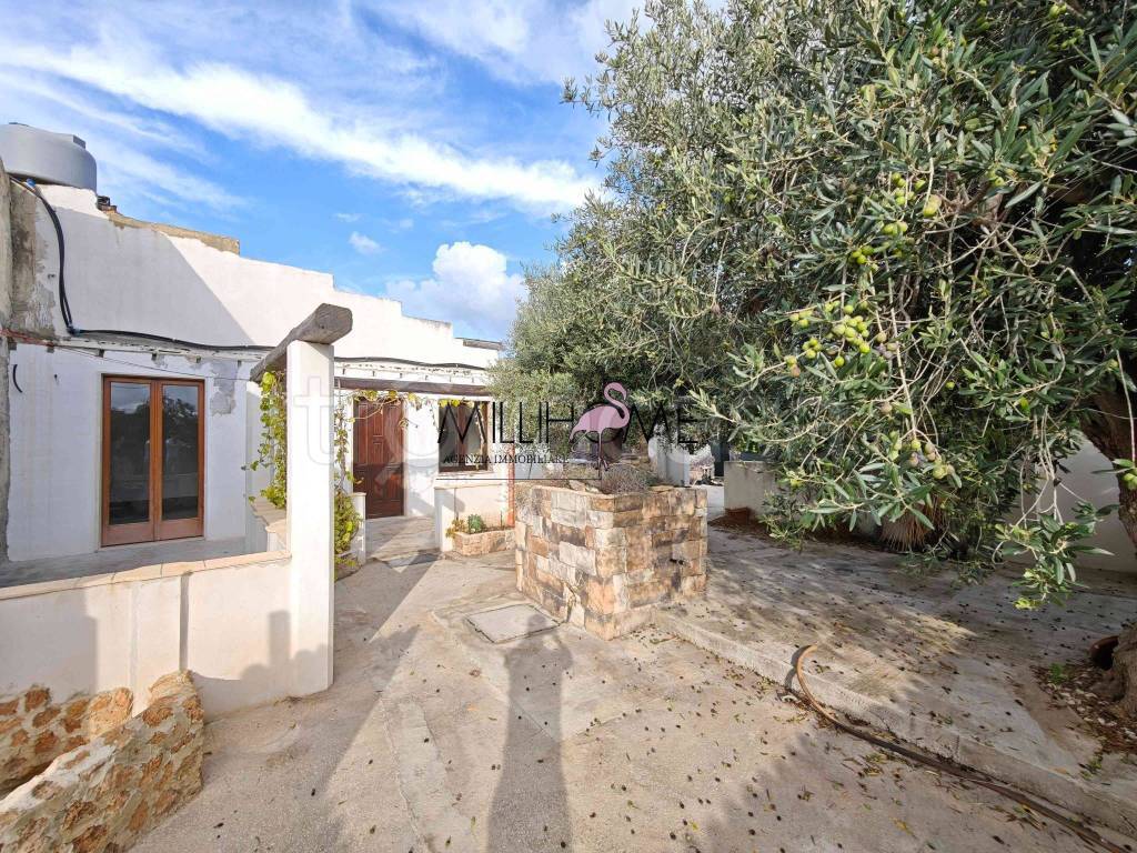 immagine annuncio 10 di 11