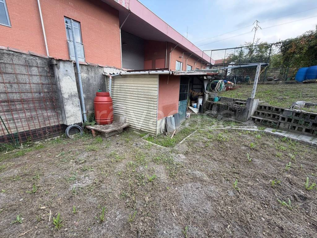 immagine annuncio 11 di 15