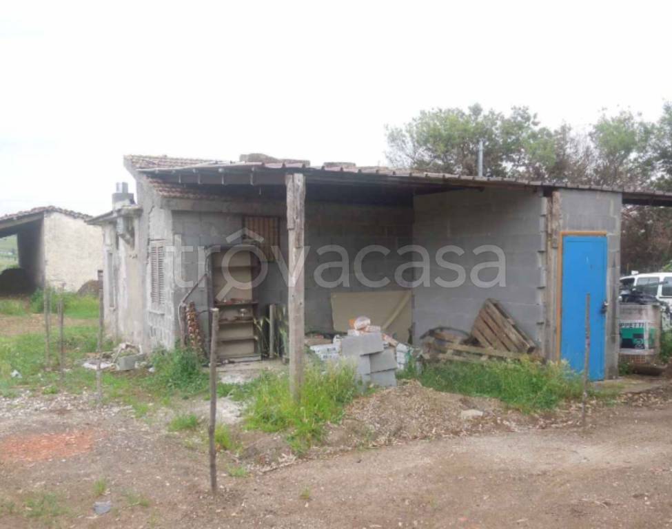 immagine annuncio 7 di 11