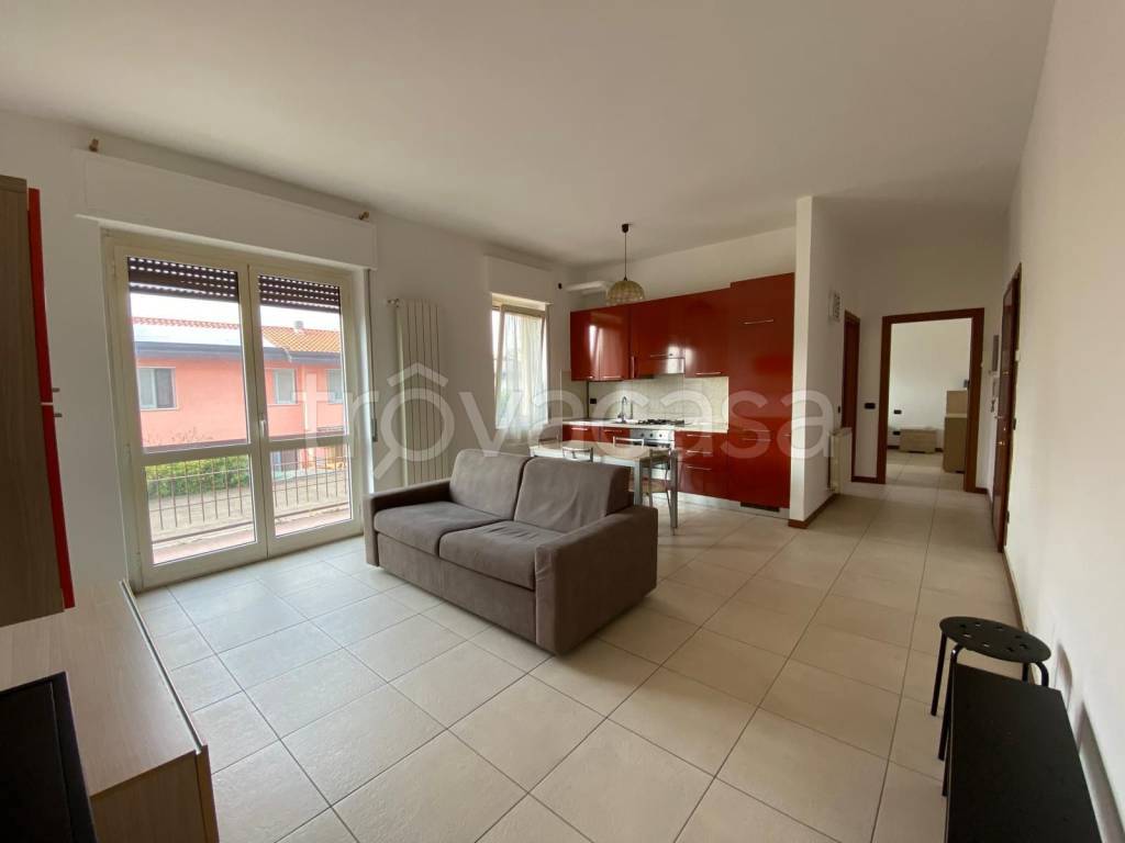 immagine annuncio 4 di 15