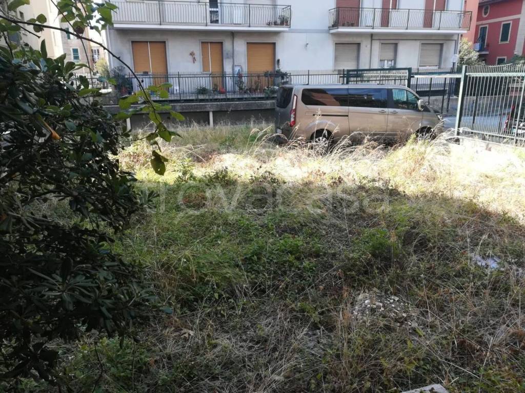 immagine annuncio 2 di 12