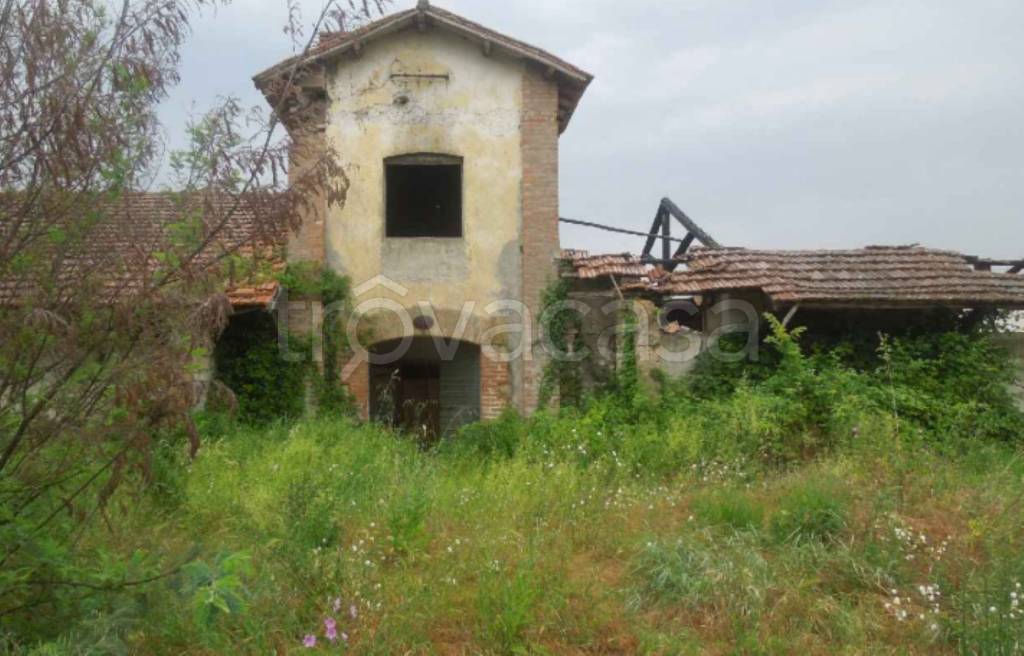 immagine annuncio 10 di 11