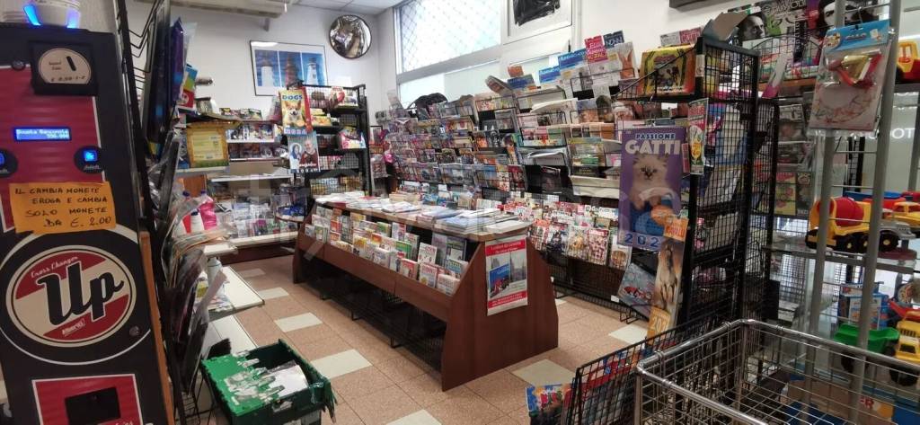 immagine annuncio 9 di 15