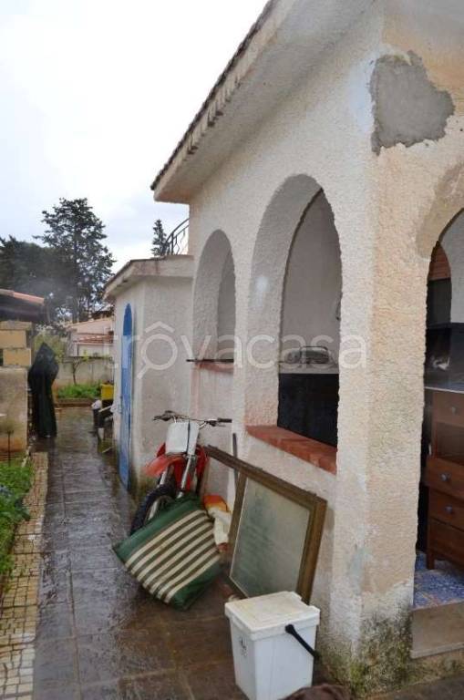 immagine annuncio 11 di 14