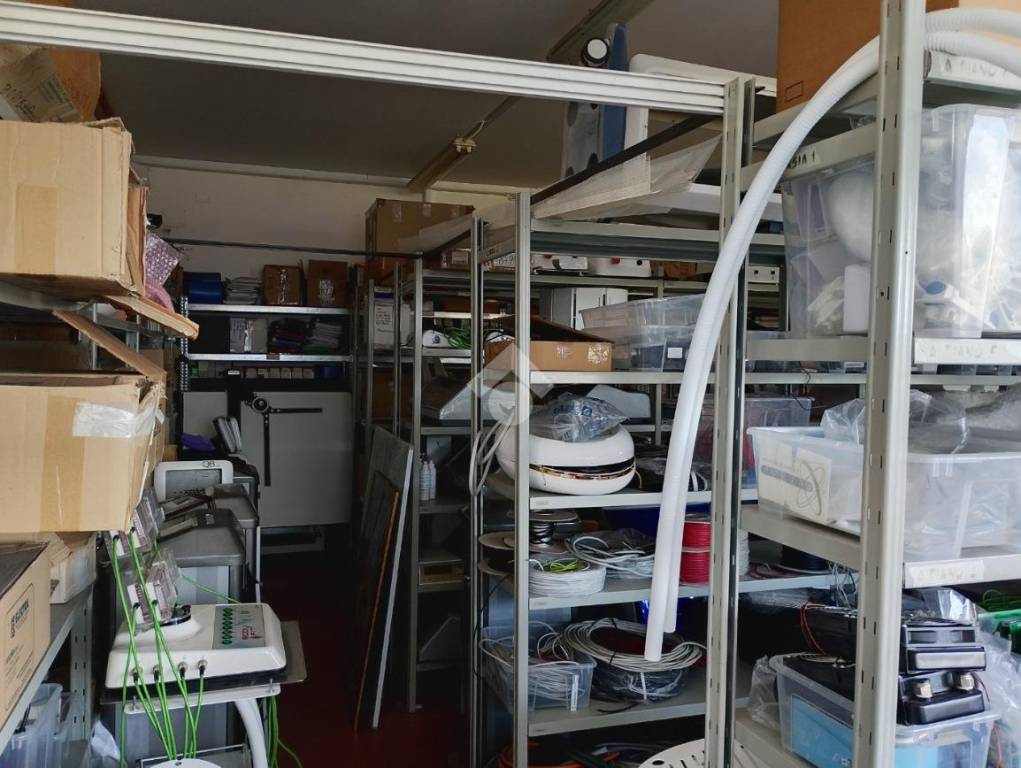 immagine annuncio 9 di 15