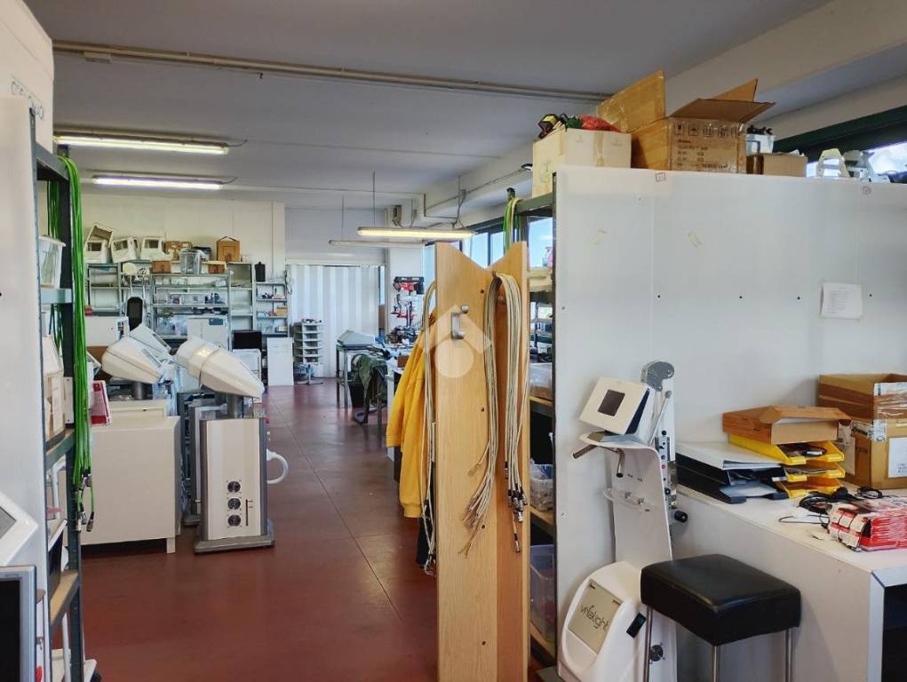 immagine annuncio 2 di 15