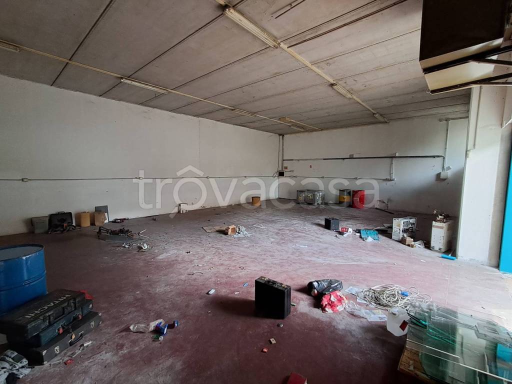 immagine annuncio 4 di 12