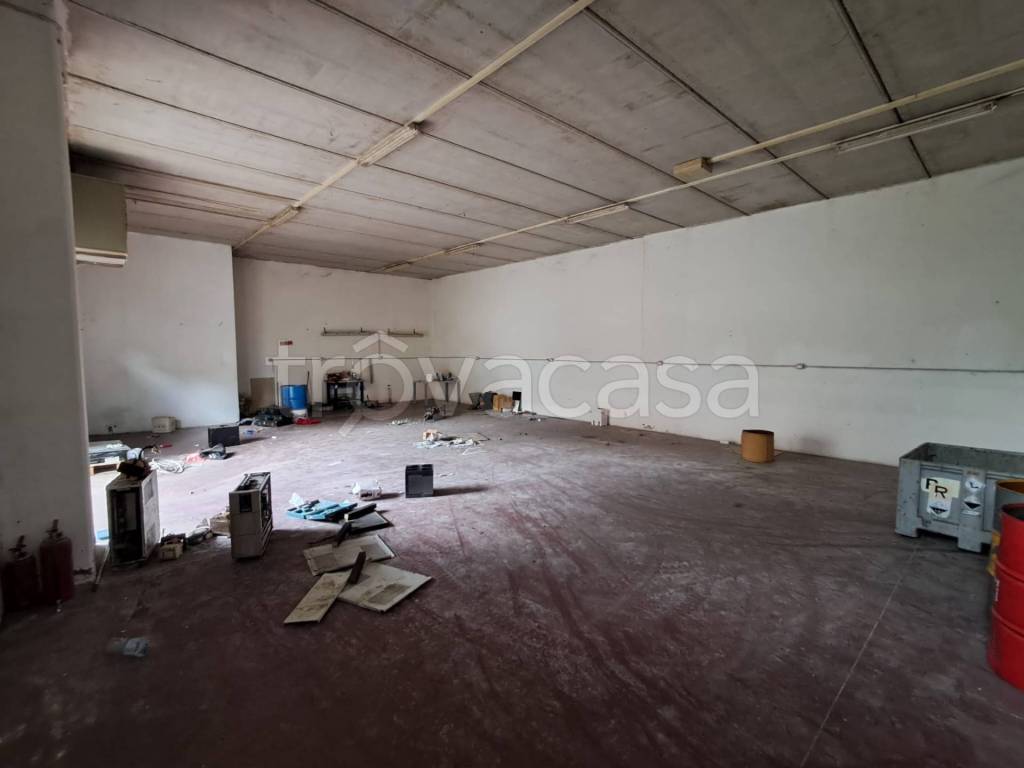 immagine annuncio 6 di 12