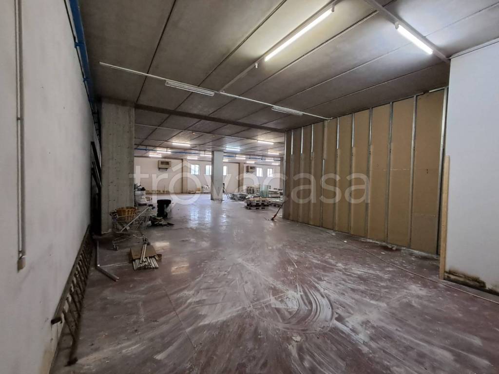 immagine annuncio 8 di 12