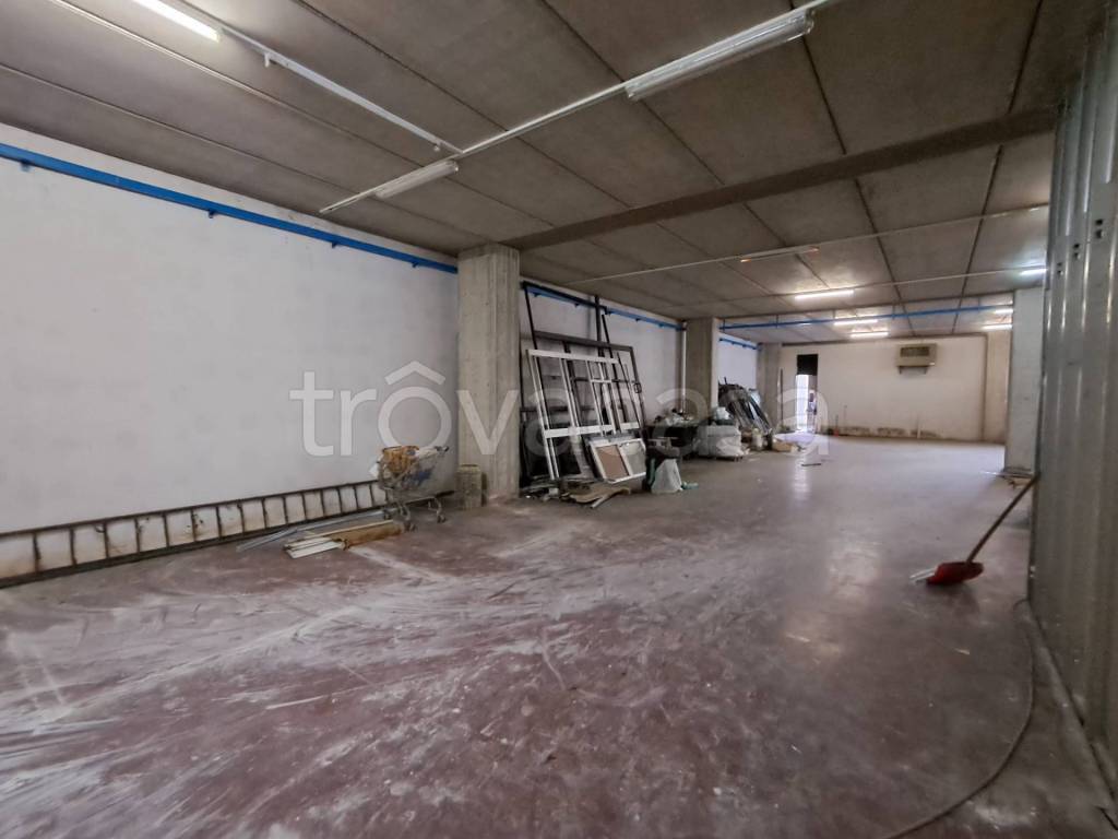 immagine annuncio 9 di 12