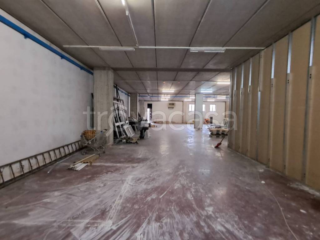 immagine annuncio 10 di 12