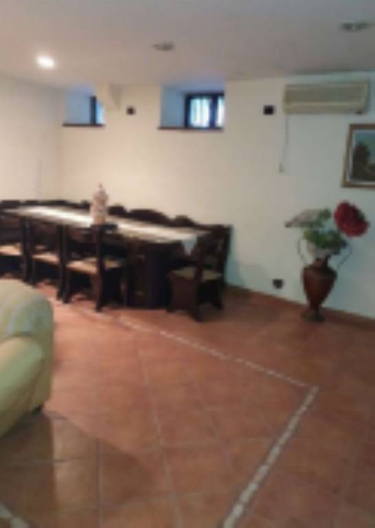 immagine annuncio 7 di 14