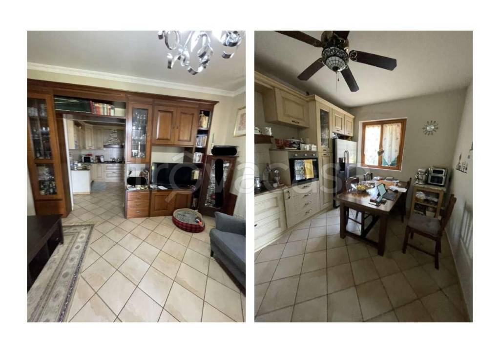 immagine annuncio 7 di 11