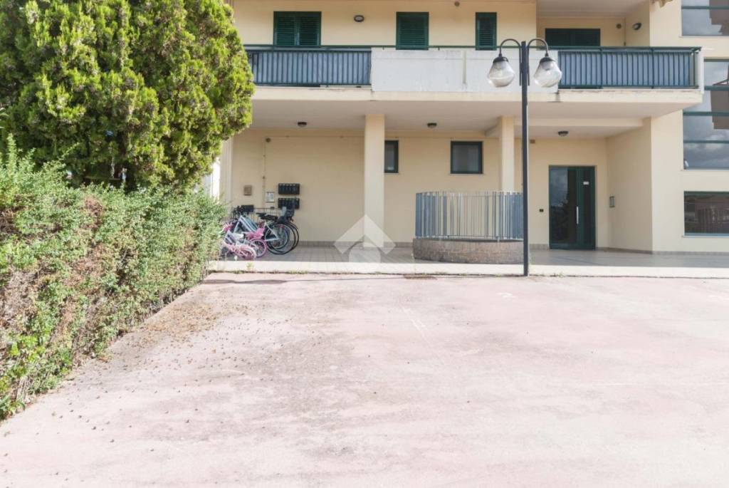 immagine annuncio 12 di 14