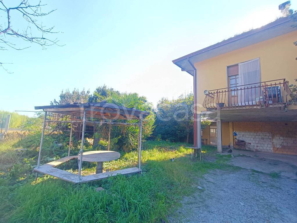 immagine annuncio 8 di 12