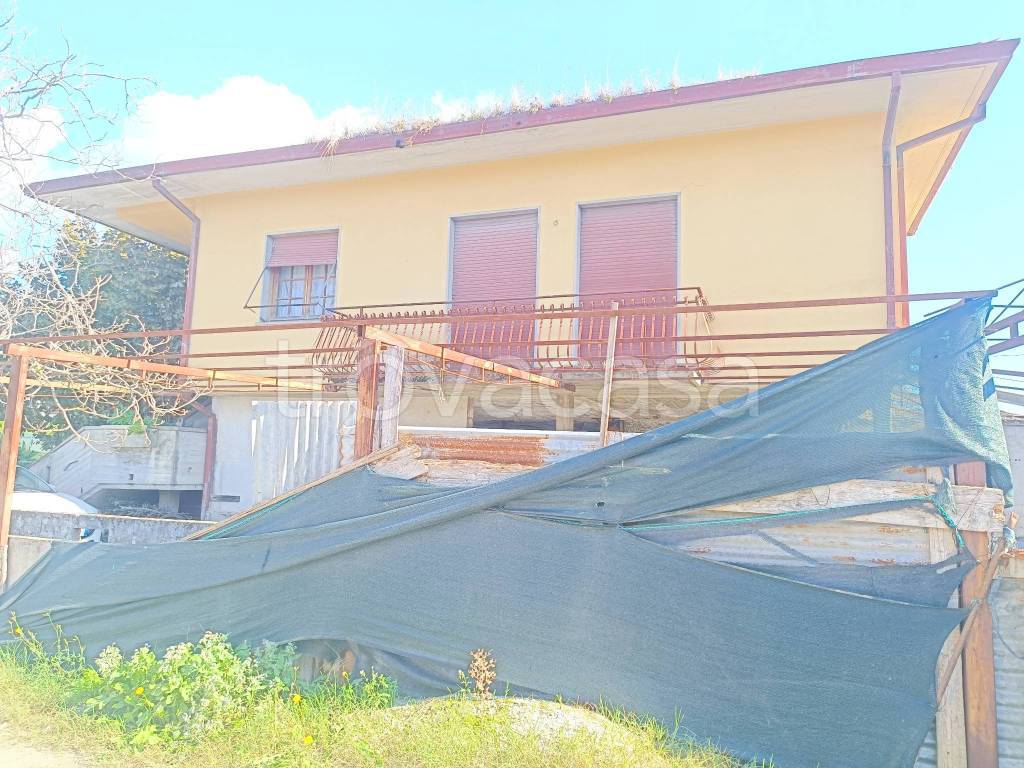 immagine annuncio 9 di 12