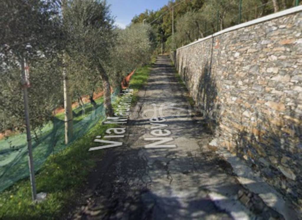 immagine annuncio 5 di 11