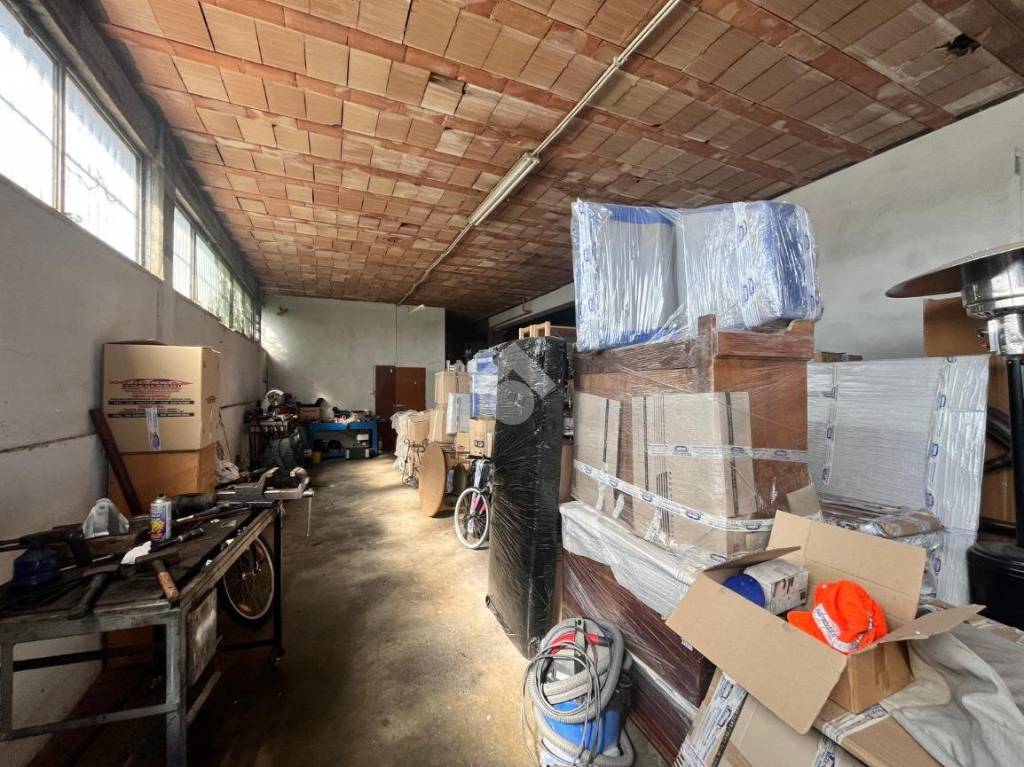 immagine annuncio 7 di 15