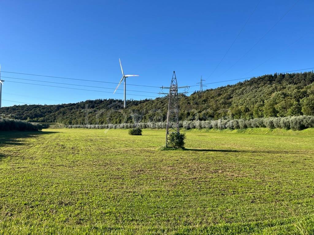 immagine annuncio 2 di 7