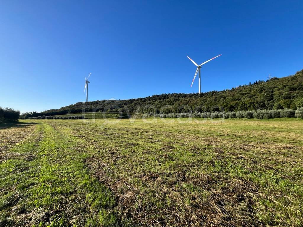 immagine annuncio 3 di 7