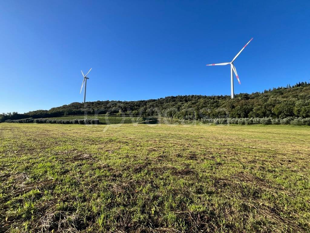 immagine annuncio 4 di 7