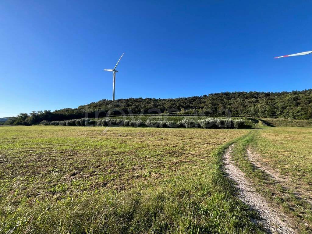 immagine annuncio 5 di 7