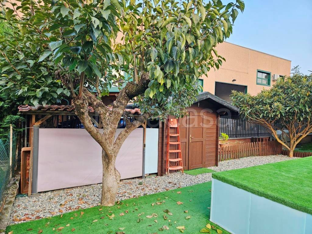 immagine annuncio 3 di 15