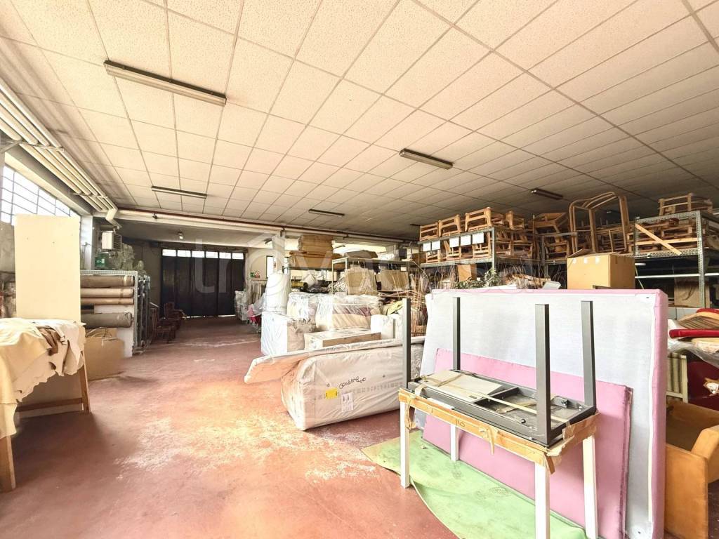 immagine annuncio 3 di 15