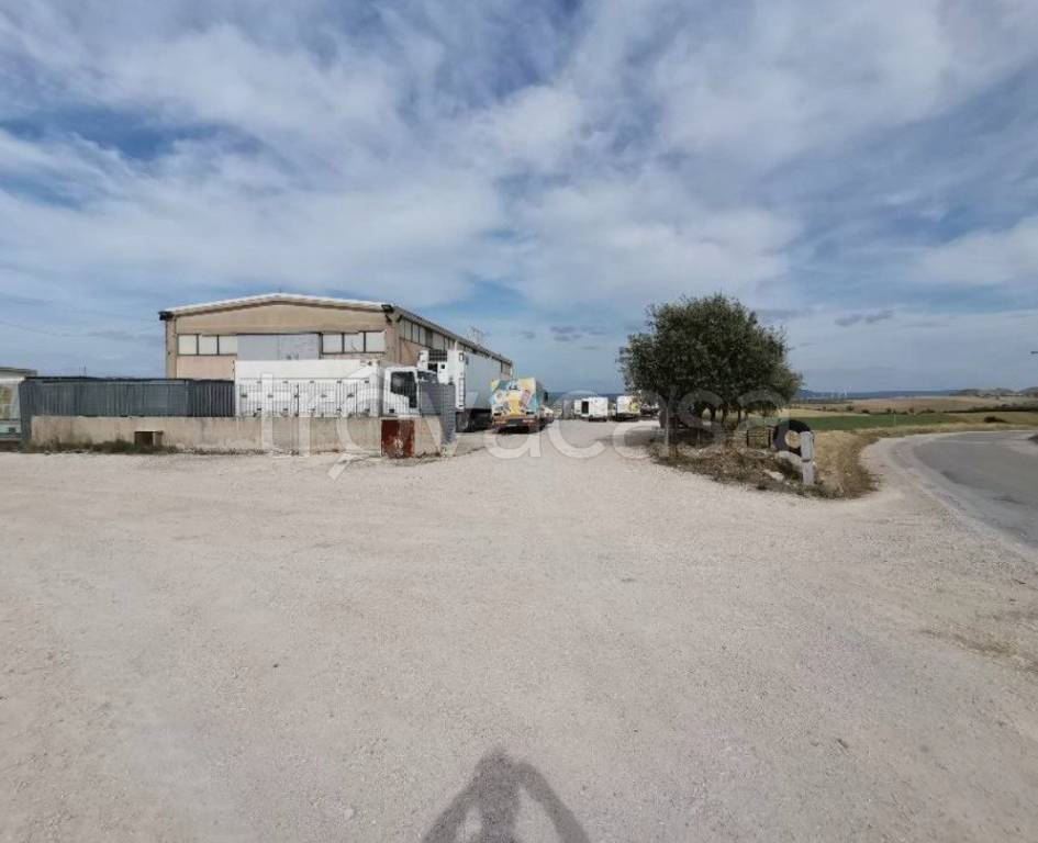 immagine annuncio 3 di 8