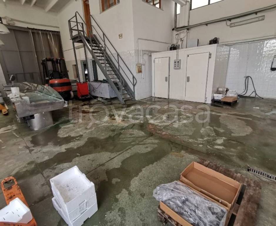 immagine annuncio 6 di 8