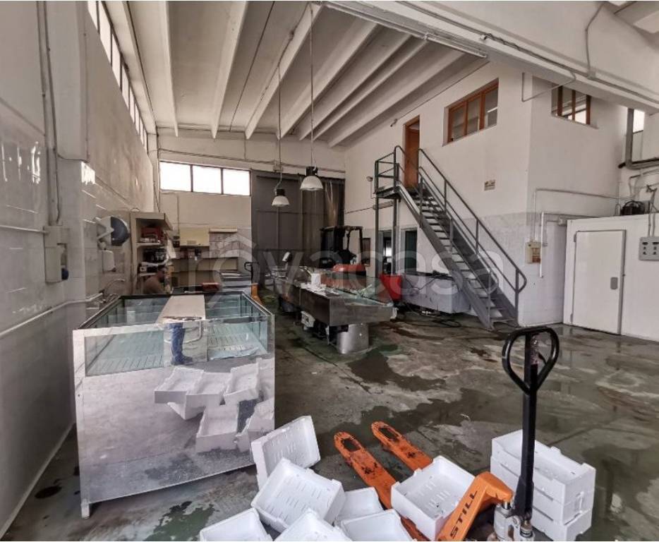 immagine annuncio 7 di 8