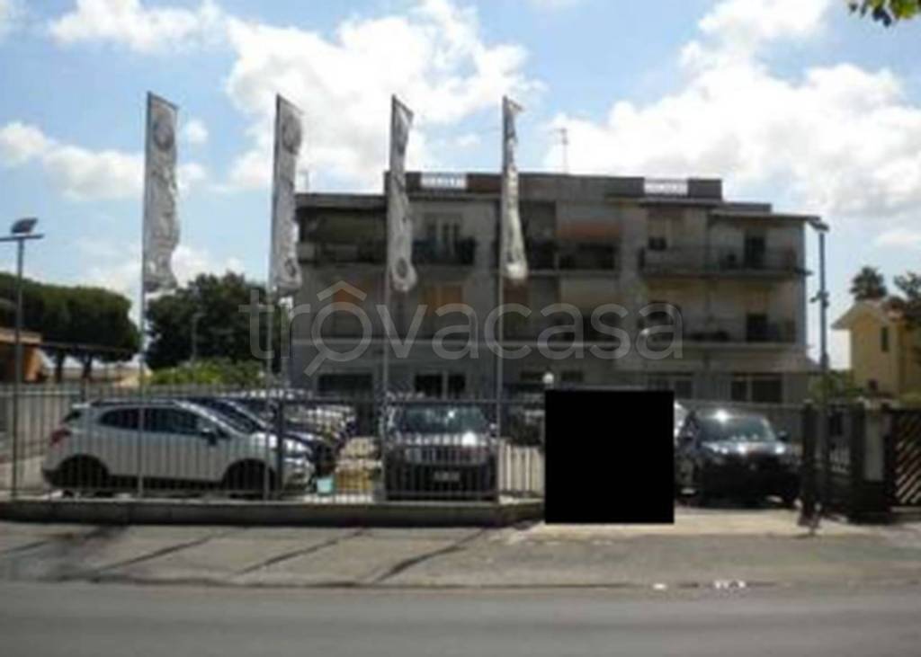 immagine annuncio 7 di 12