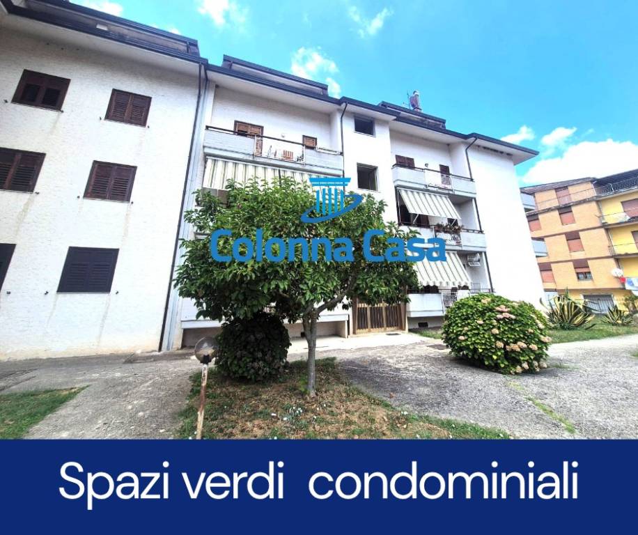 immagine annuncio 2 di 9