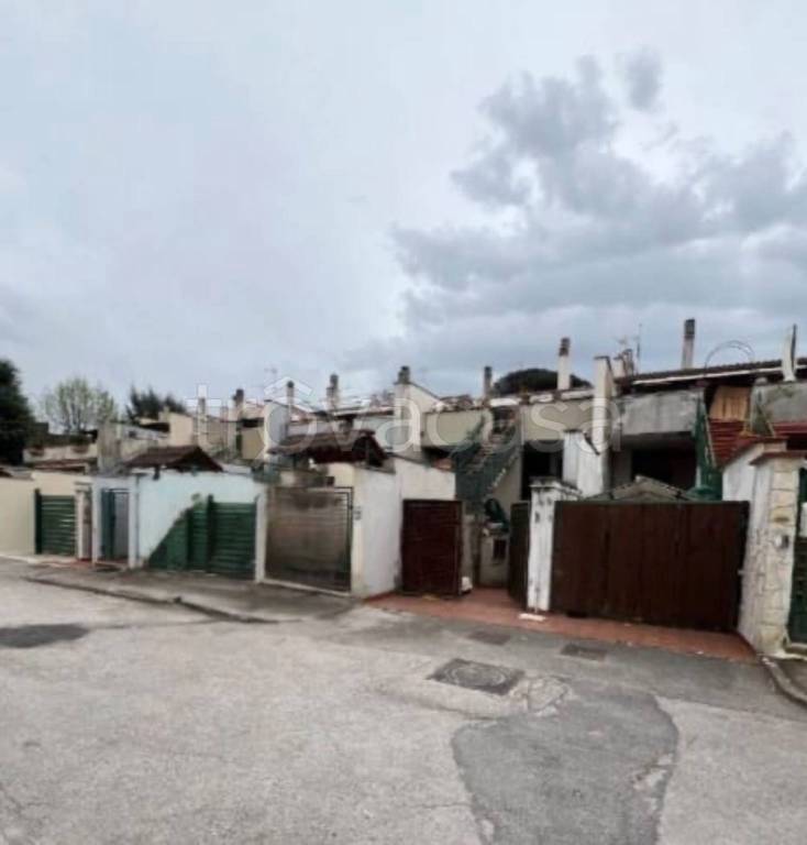 immagine annuncio 9 di 11