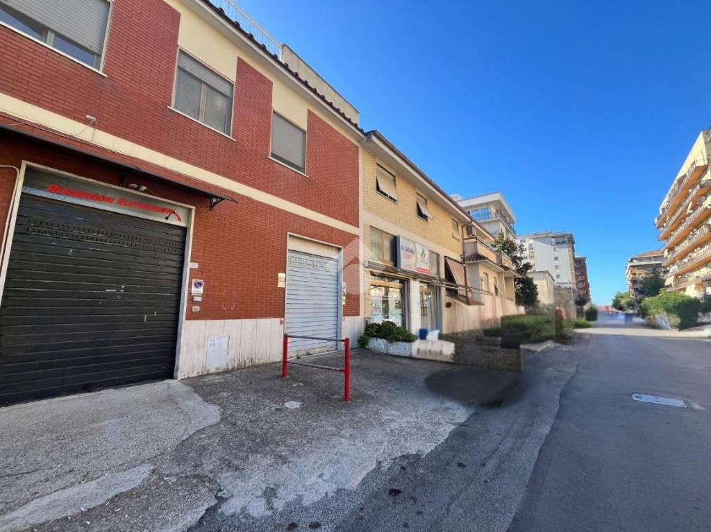 immagine annuncio 1 di 12