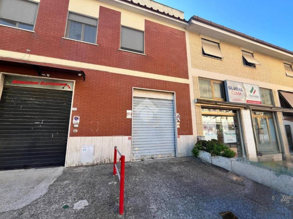 immagine annuncio 2 di 12