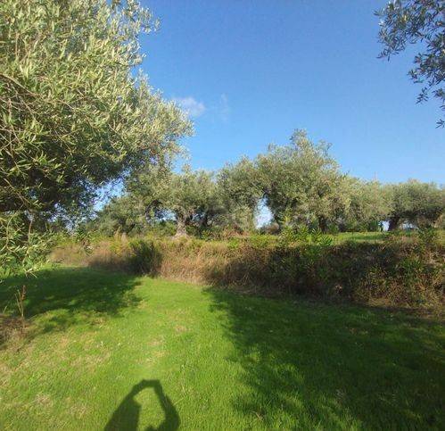 immagine annuncio 6 di 14