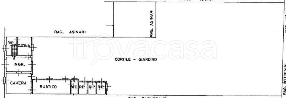 immagine annuncio 12 di 13