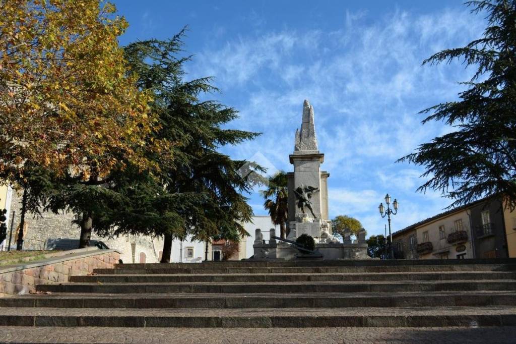 immagine annuncio 10 di 12