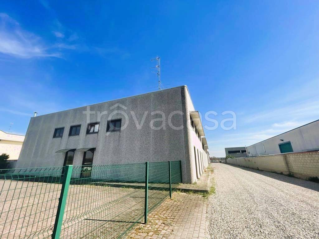 immagine annuncio 2 di 3