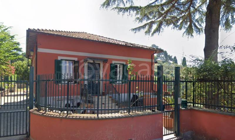 immagine annuncio 7 di 13