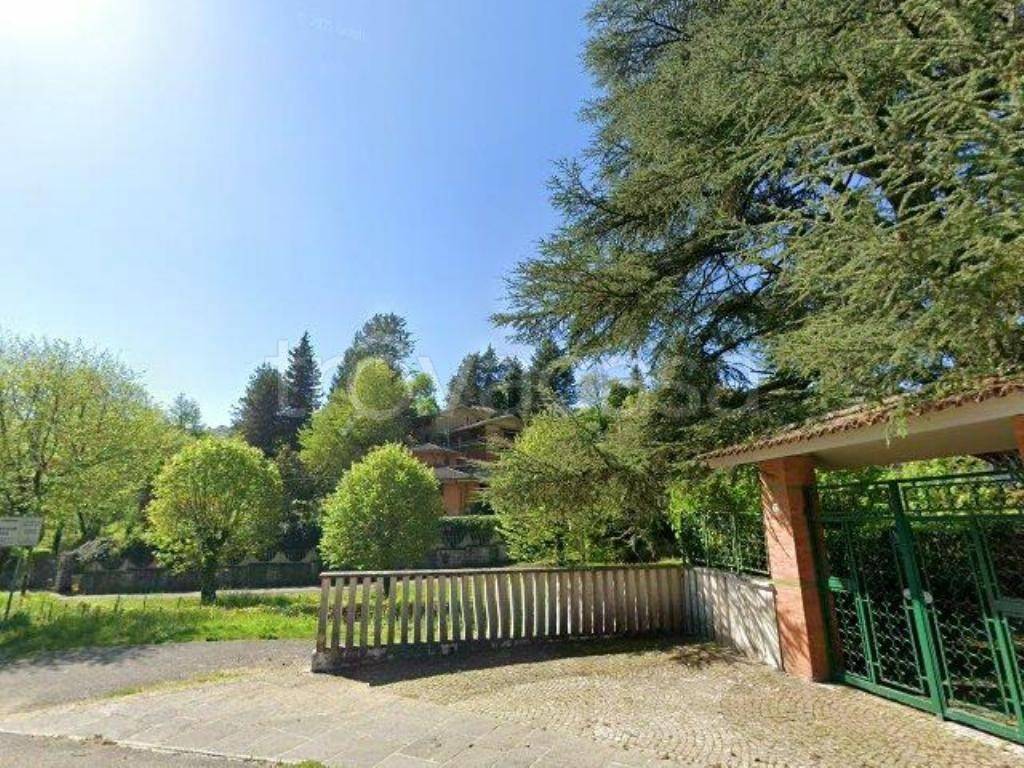 immagine annuncio 12 di 13