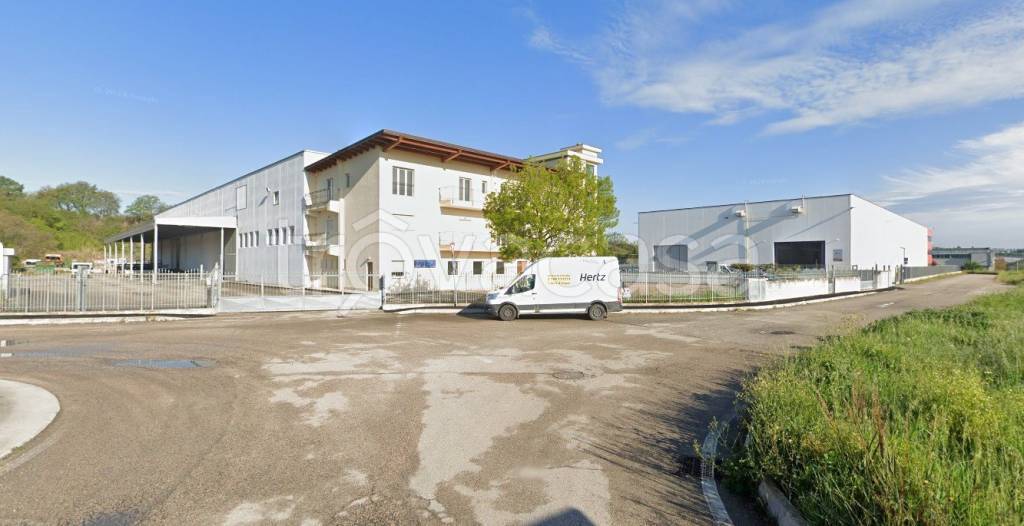 immagine annuncio 4 di 9