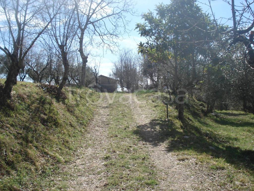 immagine annuncio 7 di 14